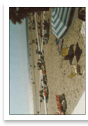 Scan1_16.jpg