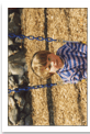 Scan1_4.jpg