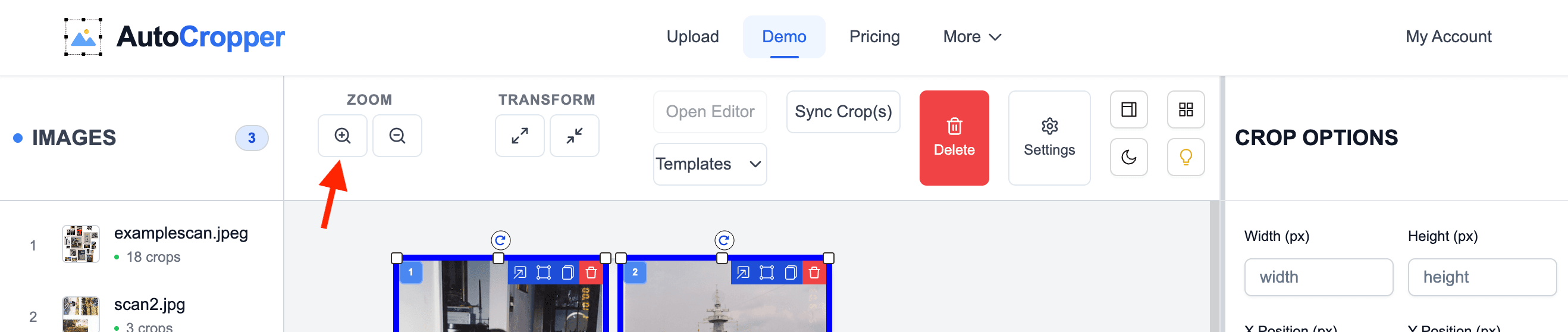 Screenshot of the AutoCropper user interface with the Zoom In button in the Top Toolbar pointed to by red arrow