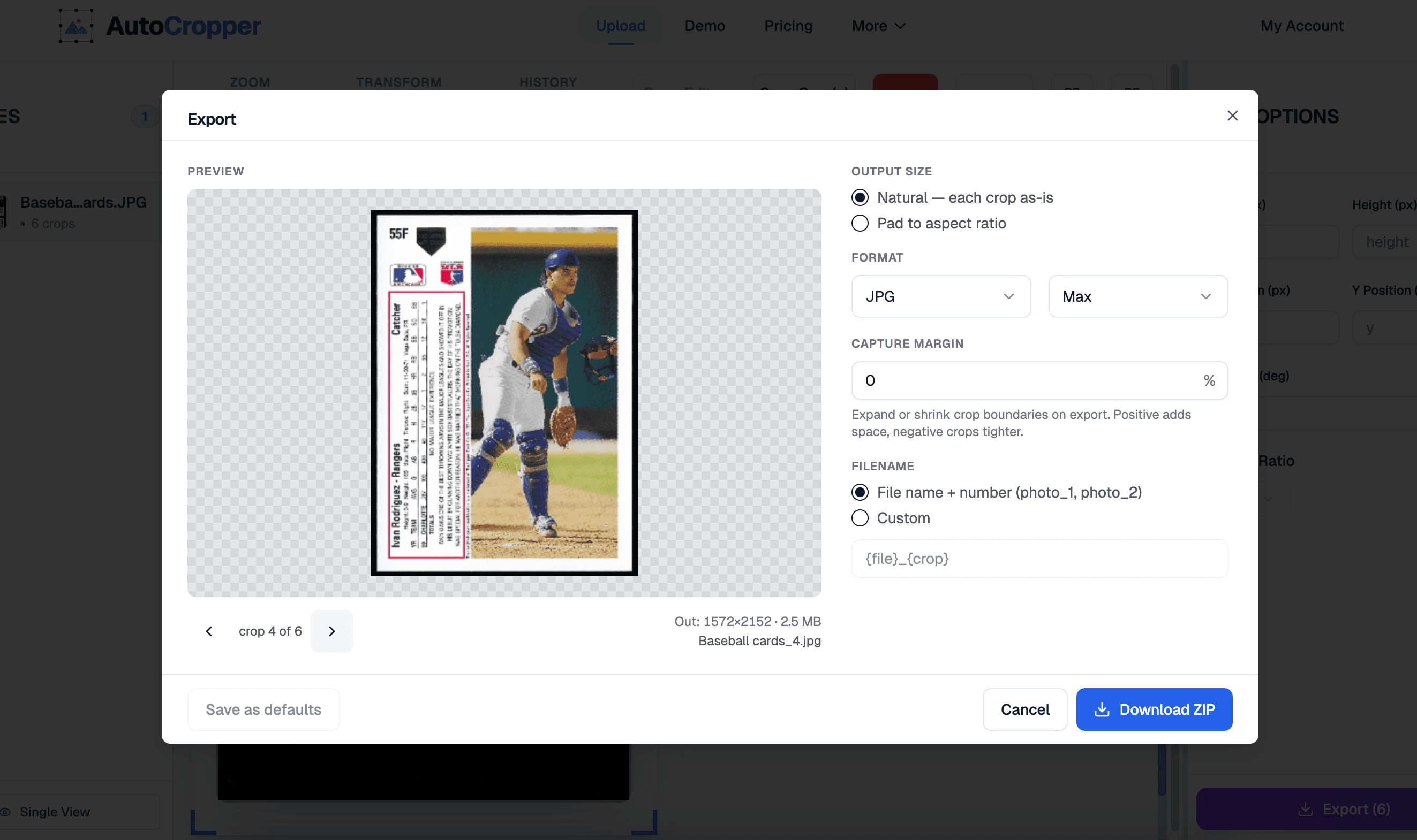 The Export builder, showing the live preview canvas (left) and the export options panel (right).
