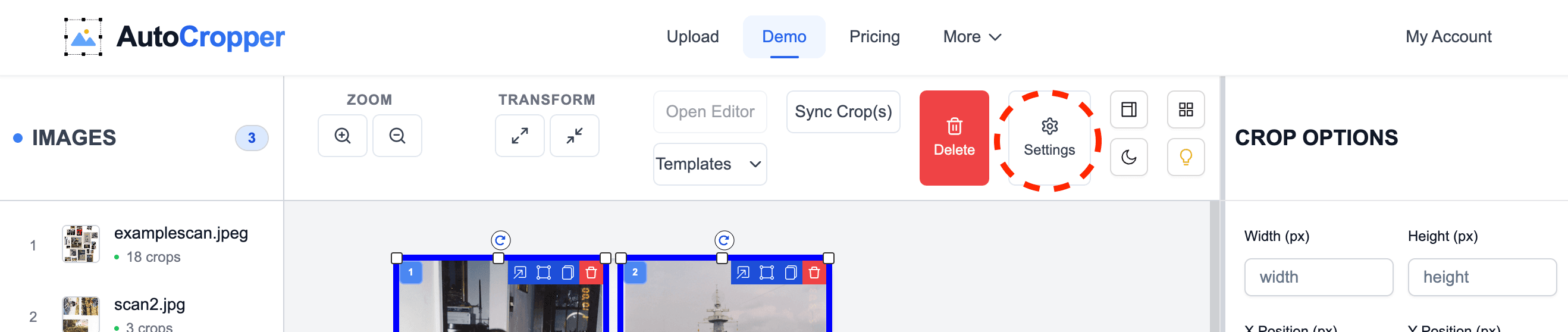 Screenshot of the AutoCropper user interface with the Settings button in the Top Toolbar outlined by a red dotted circle.