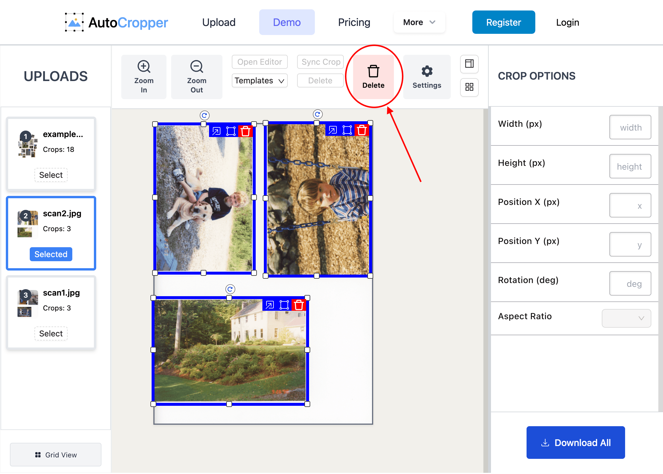 Shows the location of the Batch Delete button (circled in red) within the AutoCropper scanning software UI.