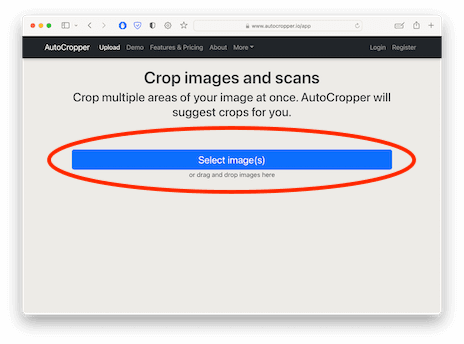 AutoCropper | Best Way to Crop Multiple Images at Once