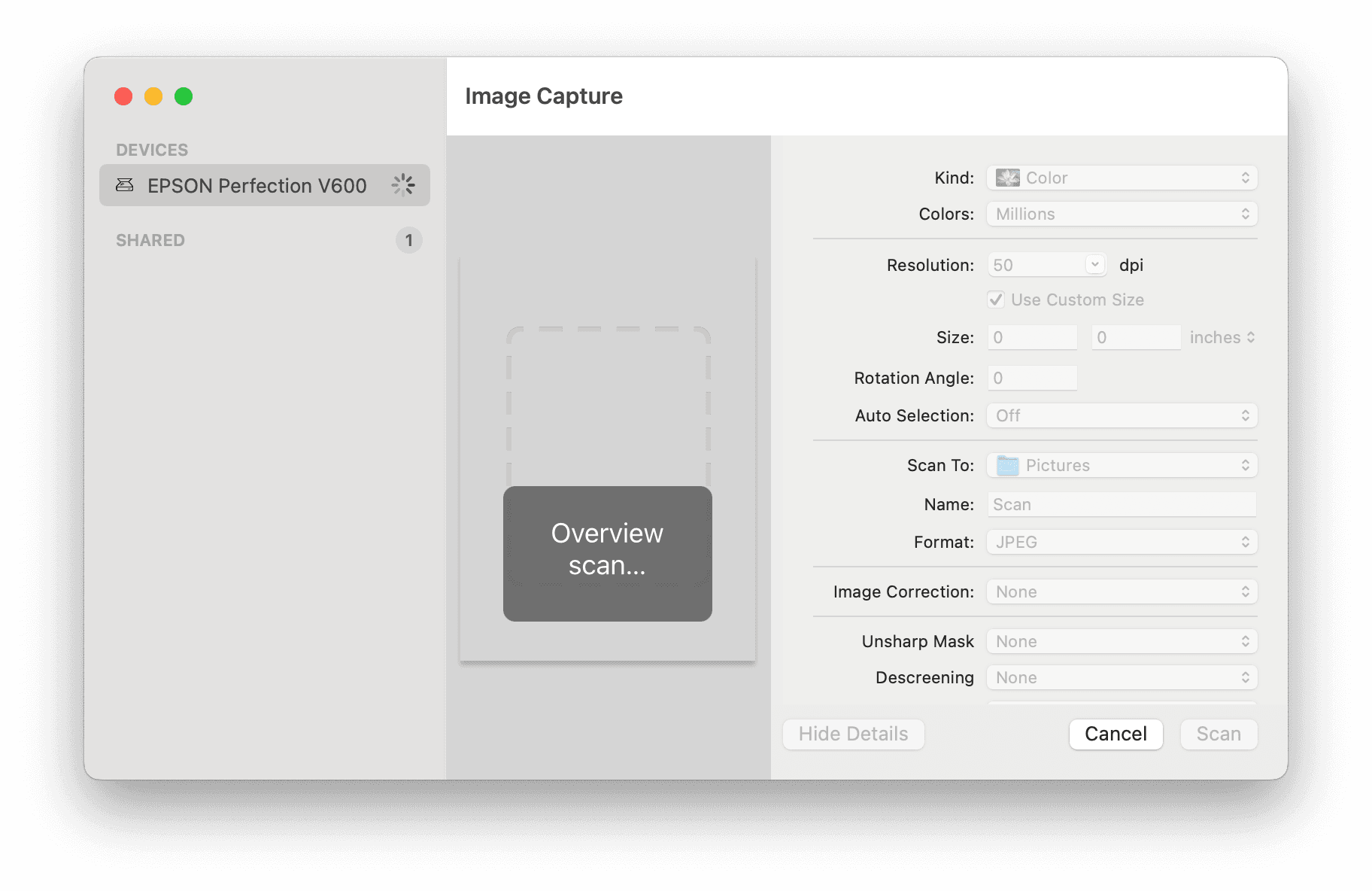 AutoCropper | What is the Best Way to Scan Multiple Photos with Epson ...