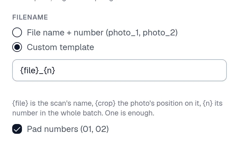 The Filename options with Custom template chosen, the template field reading file then n in braces, the help line explaining the three placeholders, and Pad numbers (01, 02) checked