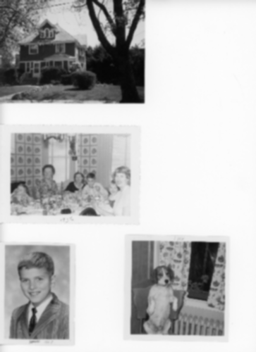 Compressed grayscaled gaussian blurred scan with multiple photos.